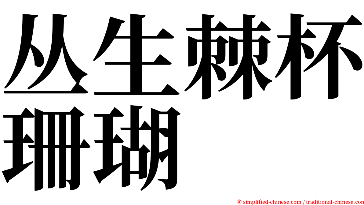 丛生棘杯珊瑚 serif font