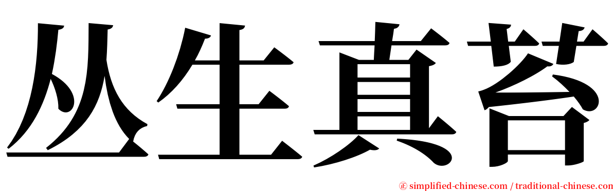 丛生真苔 serif font
