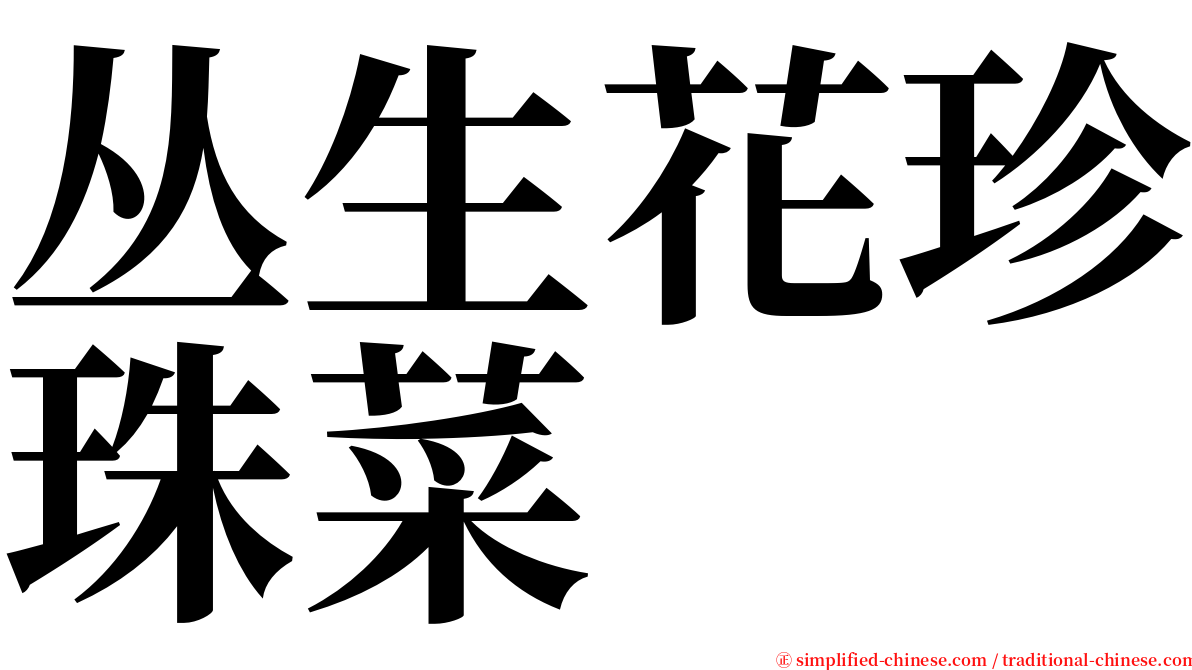 丛生花珍珠菜 serif font