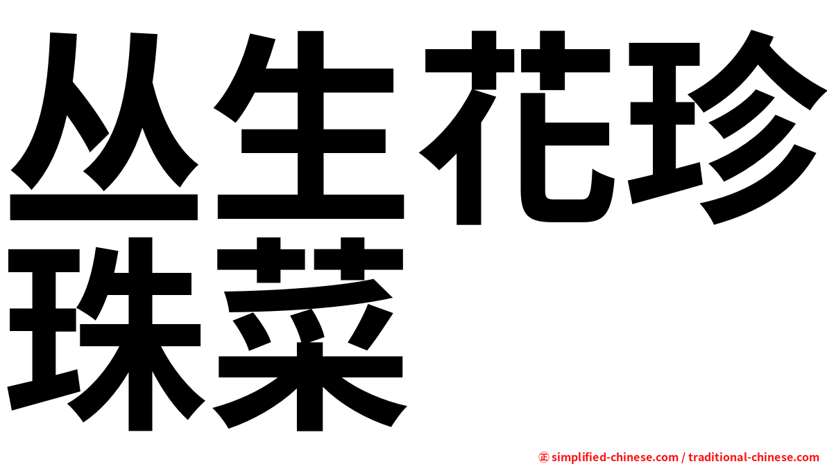 丛生花珍珠菜
