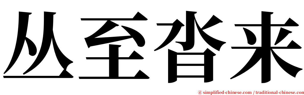 丛至沓来 serif font