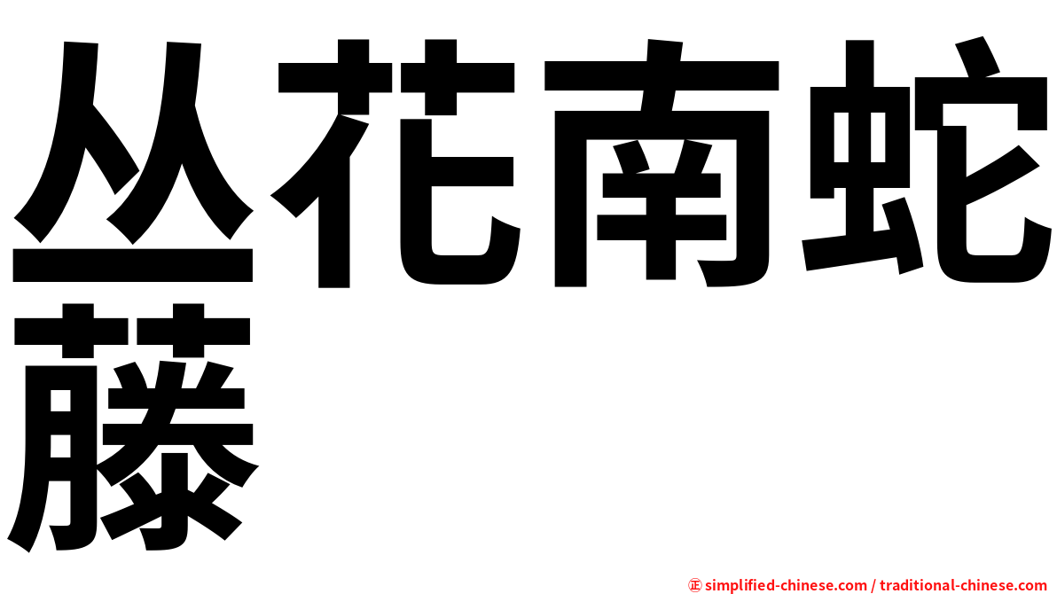 丛花南蛇藤
