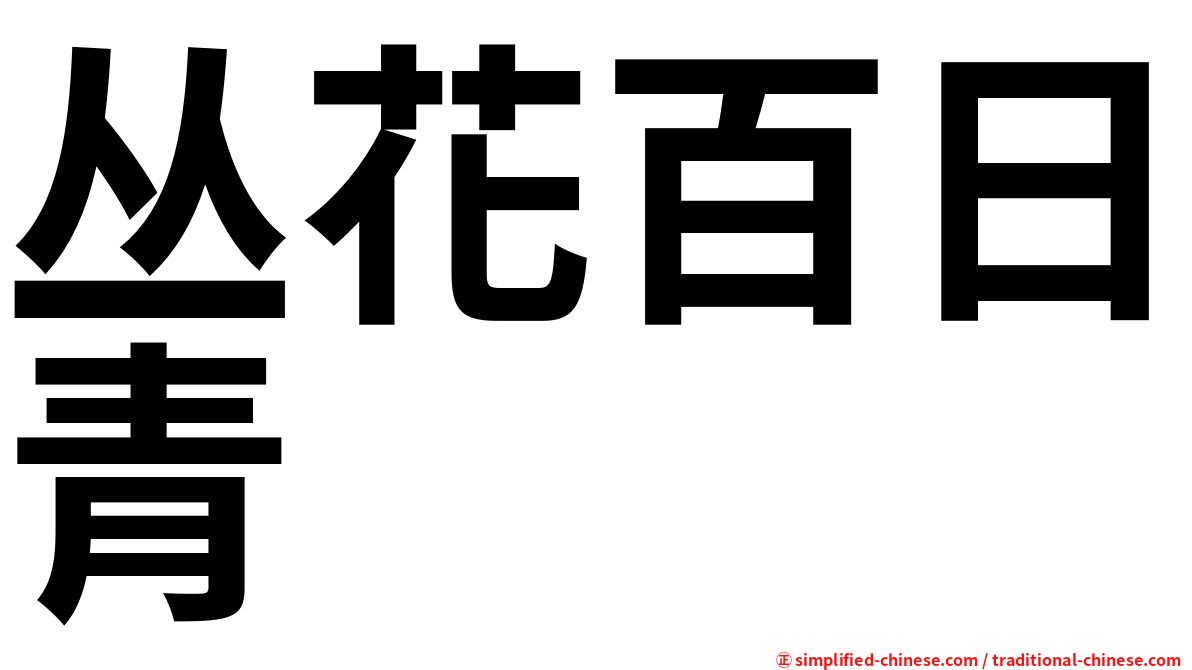 丛花百日青