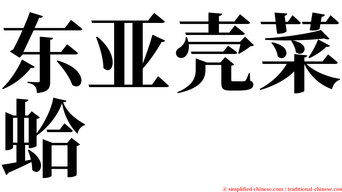 东亚壳菜蛤 serif font