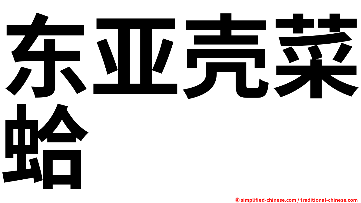 东亚壳菜蛤