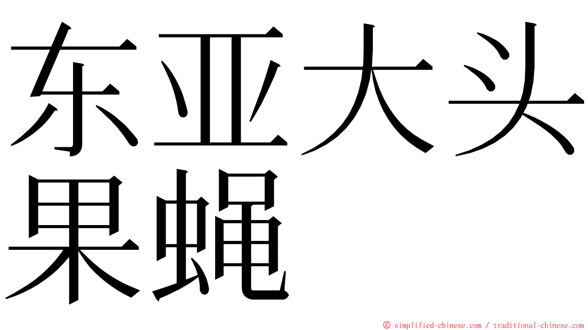 东亚大头果蝇 ming font