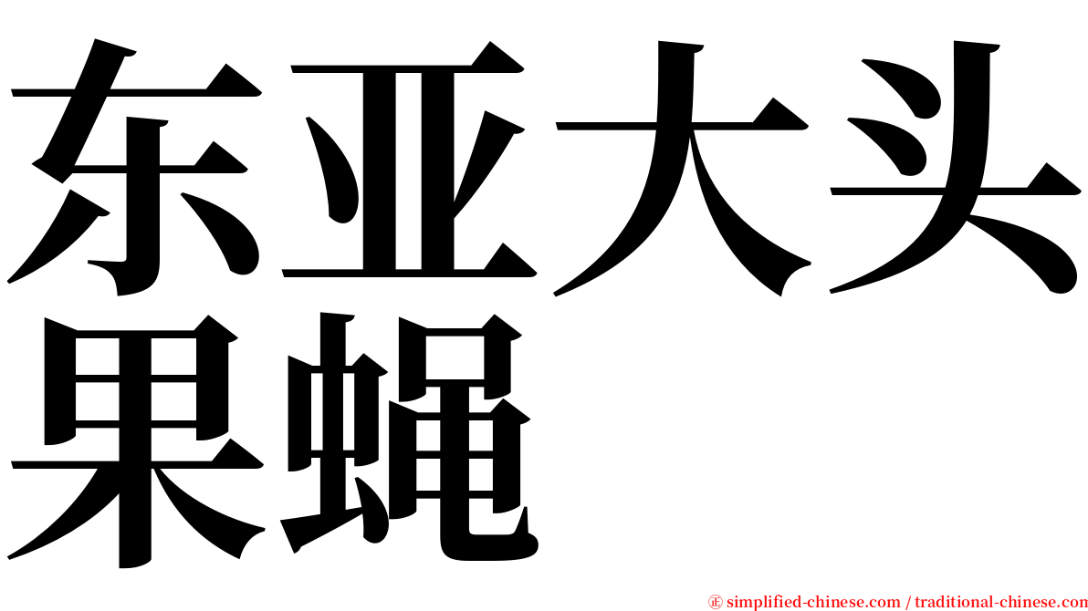 东亚大头果蝇 serif font