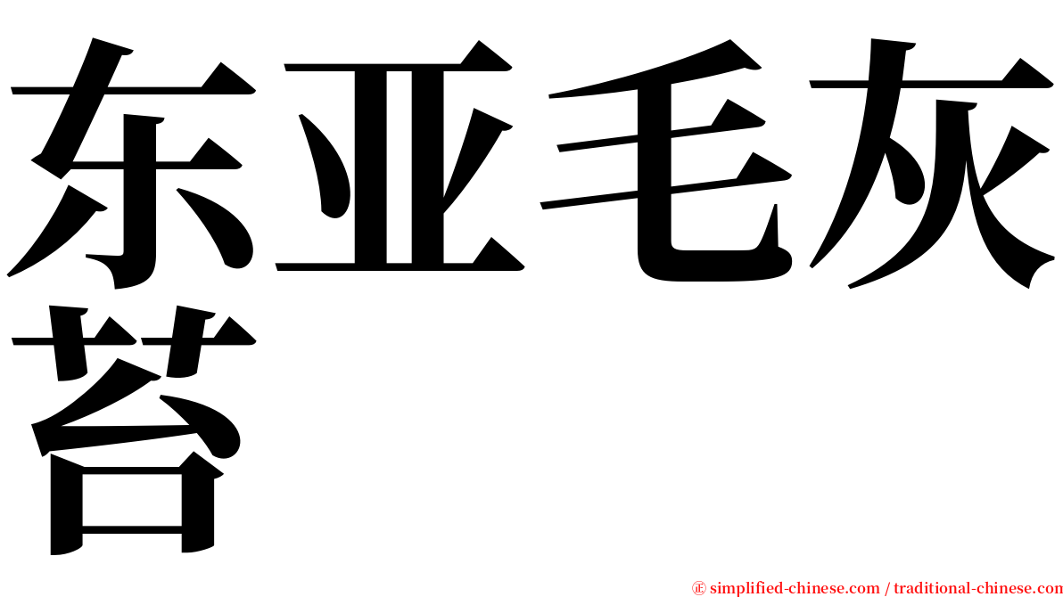 东亚毛灰苔 serif font