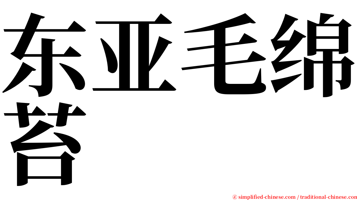 东亚毛绵苔 serif font