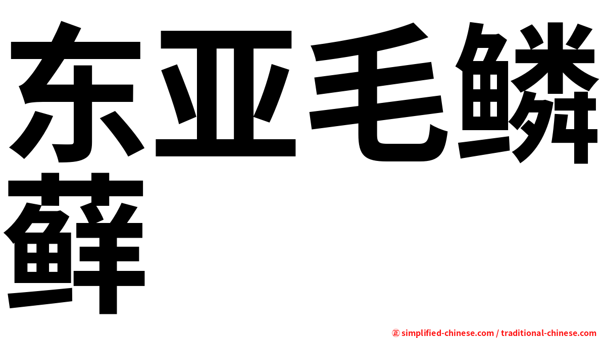 东亚毛鳞藓