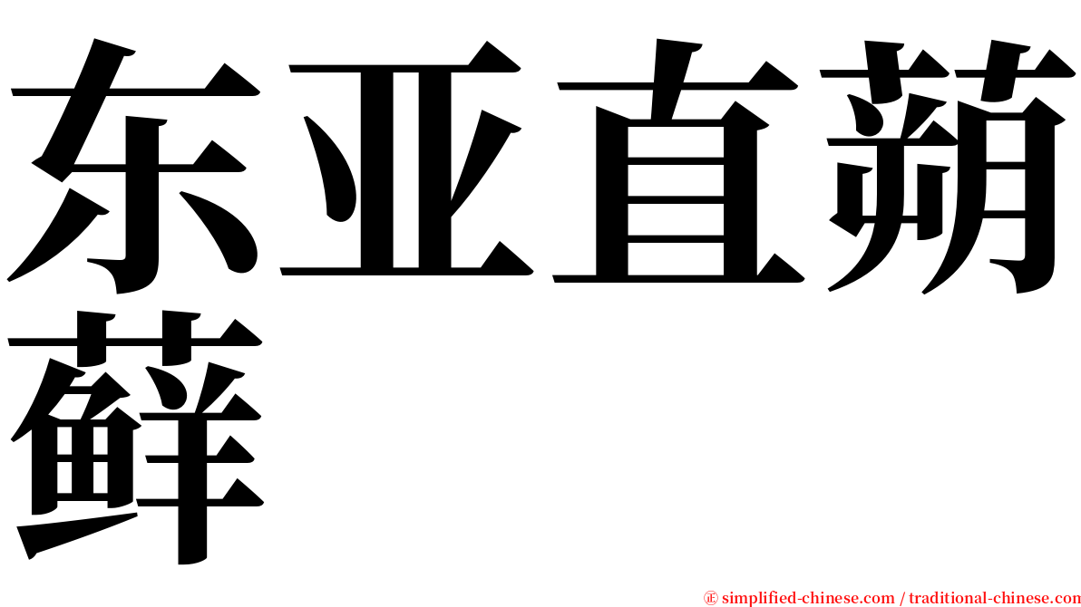 东亚直蒴藓 serif font