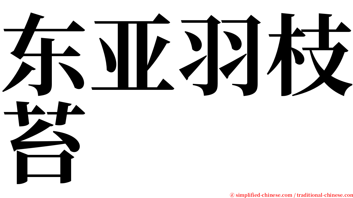 东亚羽枝苔 serif font
