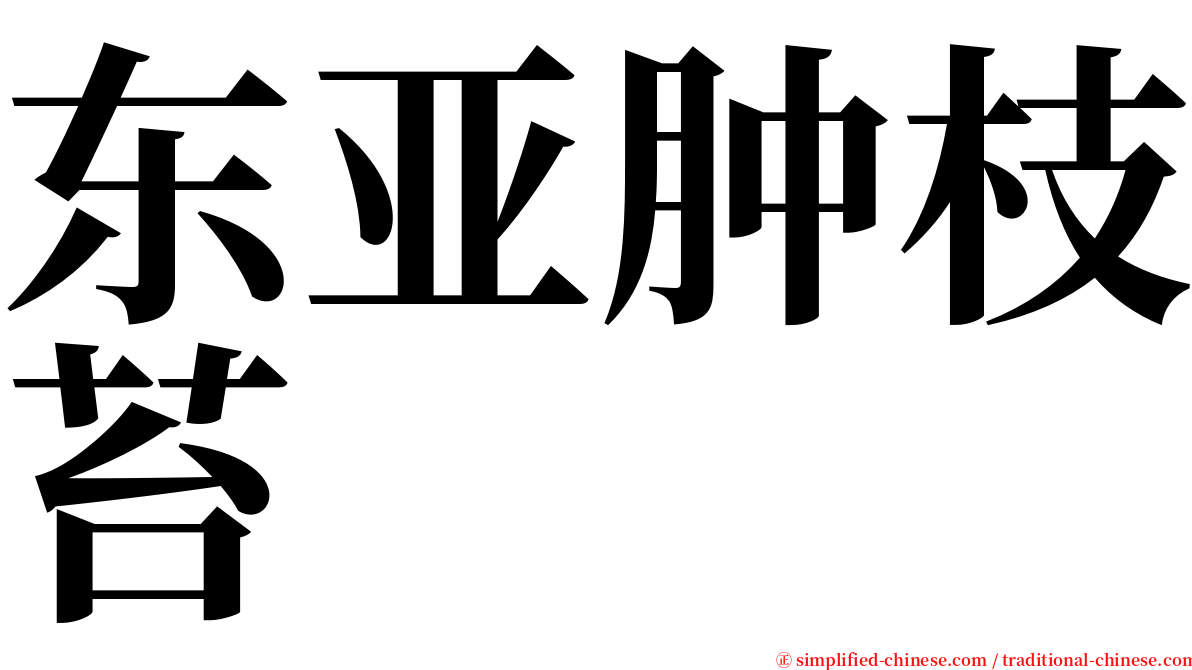 东亚肿枝苔 serif font