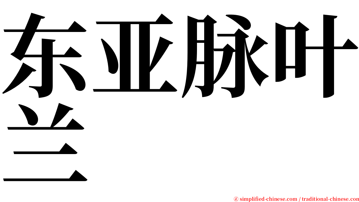东亚脉叶兰 serif font