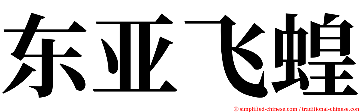东亚飞蝗 serif font