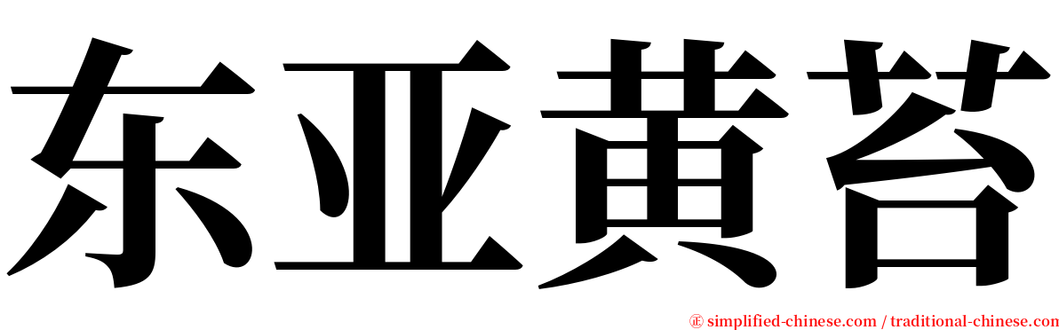 东亚黄苔 serif font
