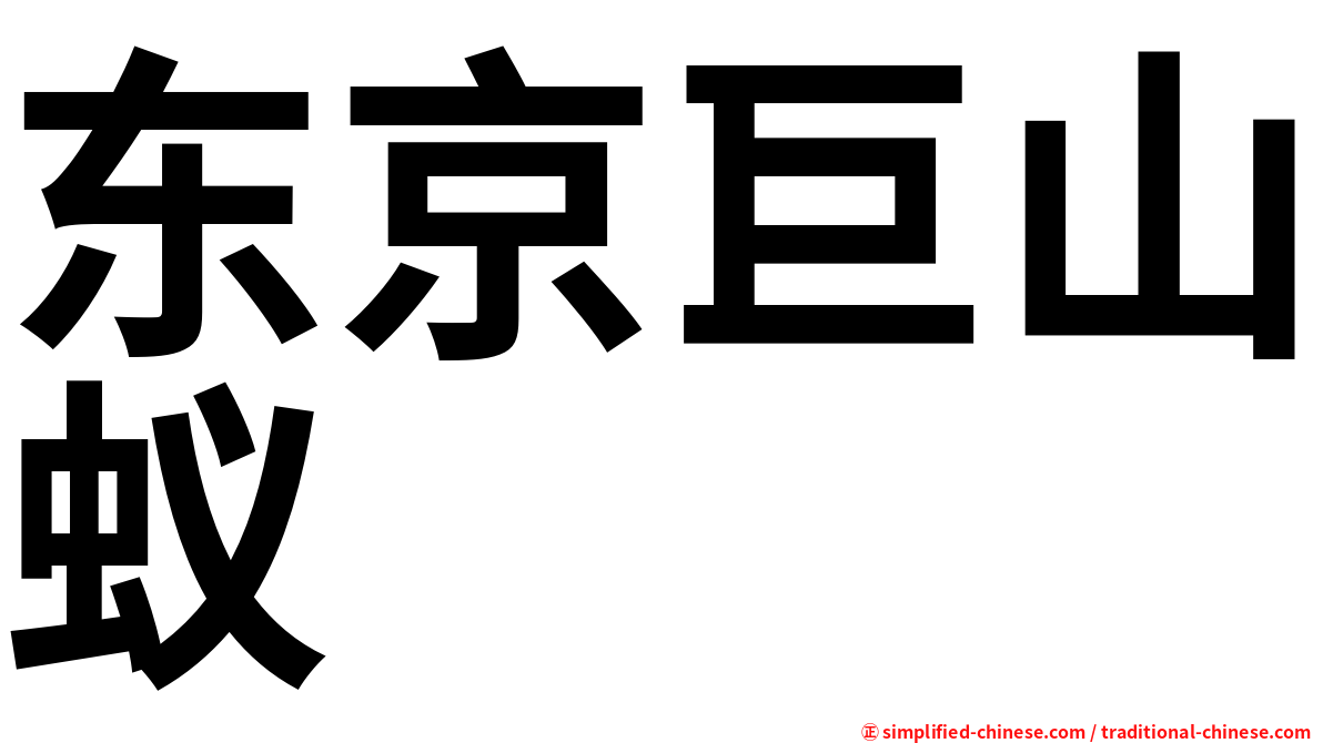 东京巨山蚁