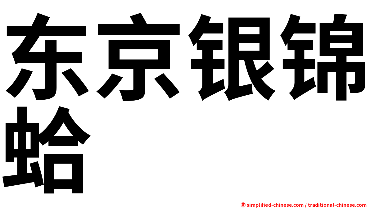 东京银锦蛤
