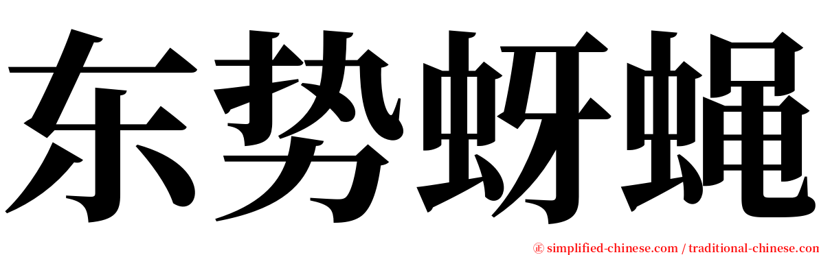 东势蚜蝇 serif font