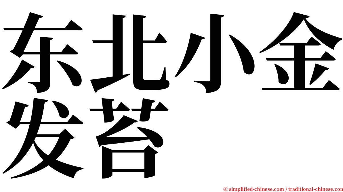 东北小金发苔 serif font