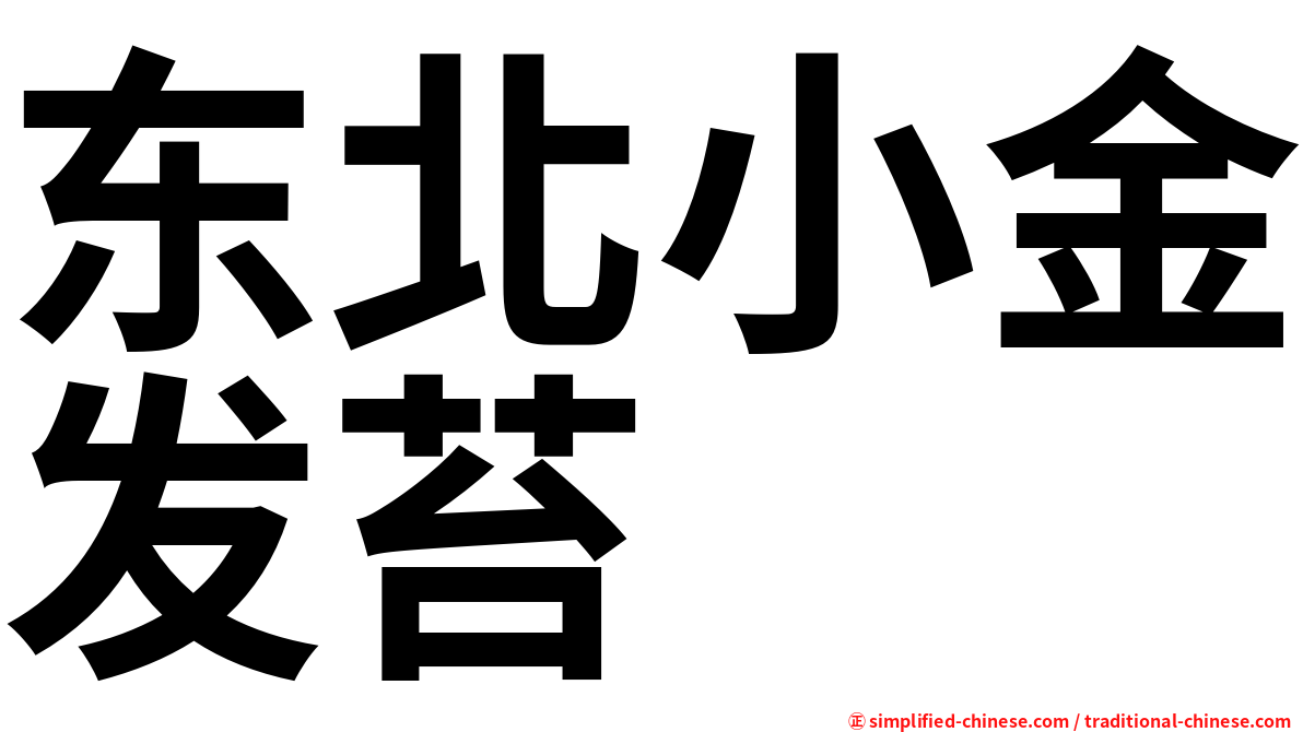 东北小金发苔