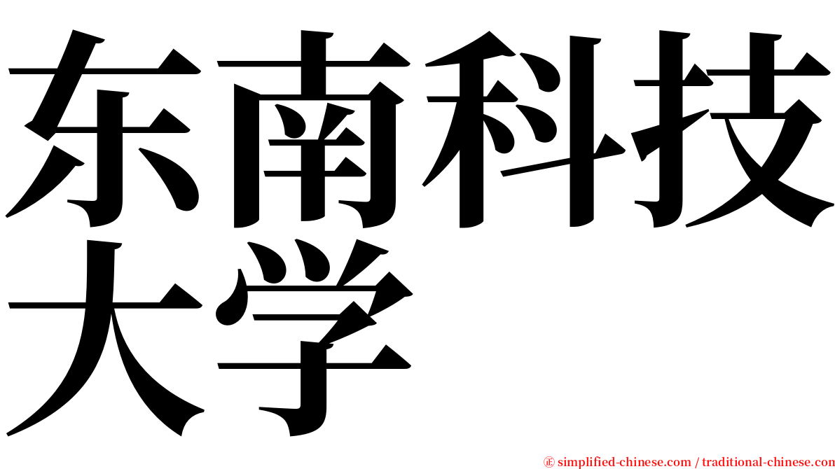 东南科技大学 serif font