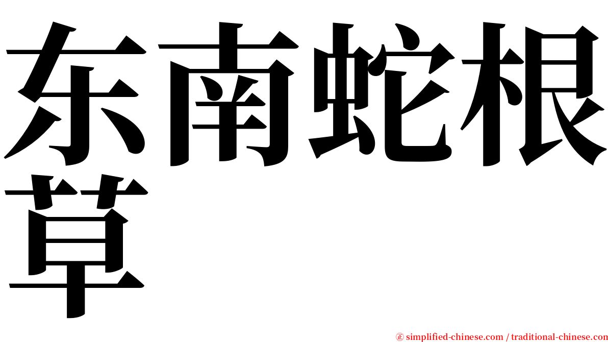 东南蛇根草 serif font