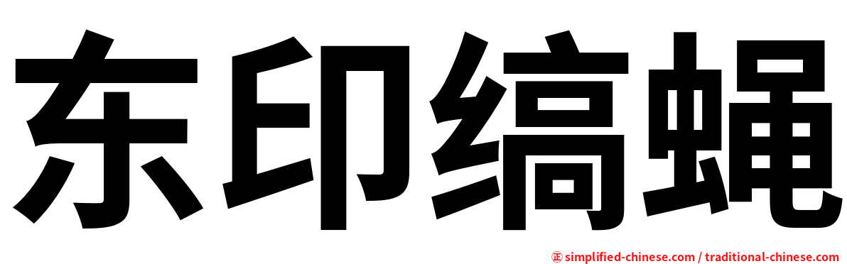 东印缟蝇