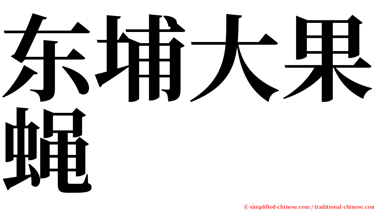 东埔大果蝇 serif font