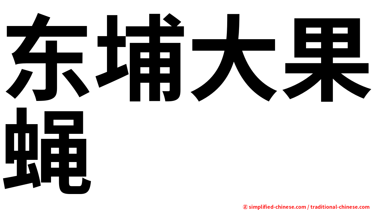 东埔大果蝇