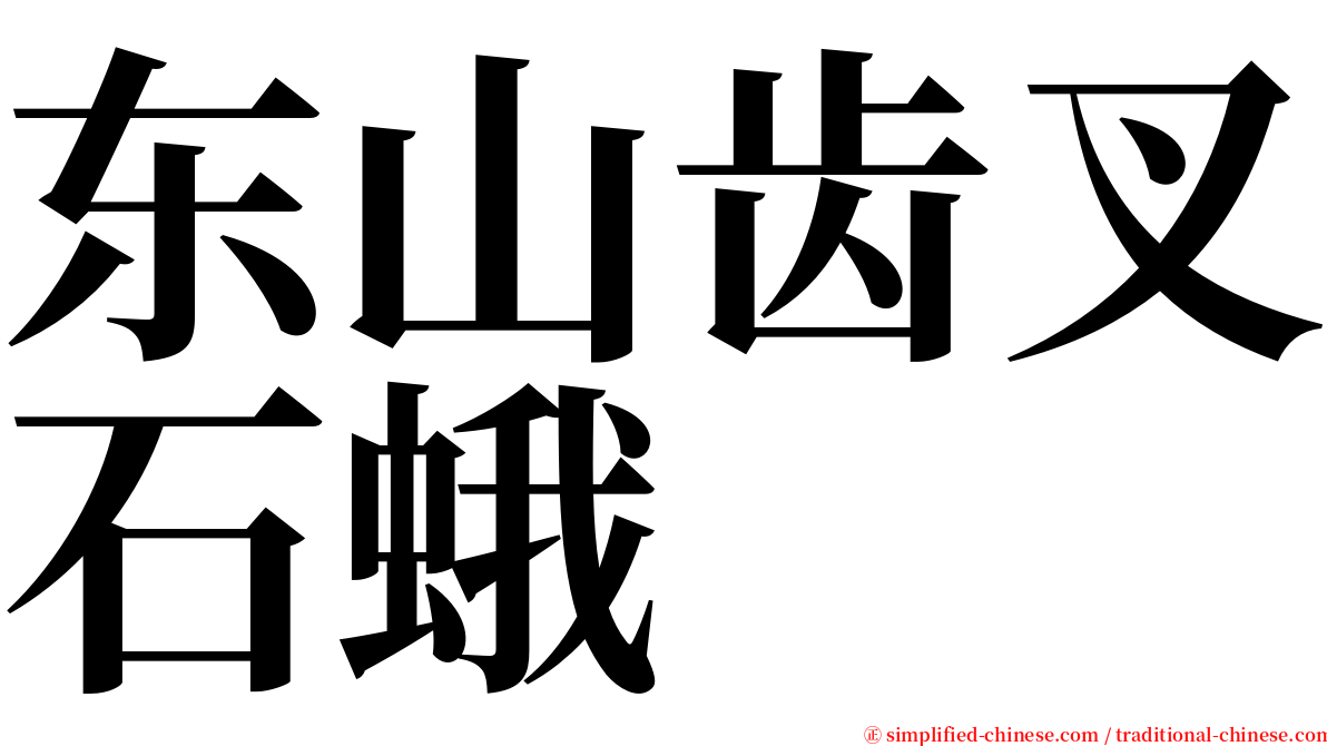 东山齿叉石蛾 serif font