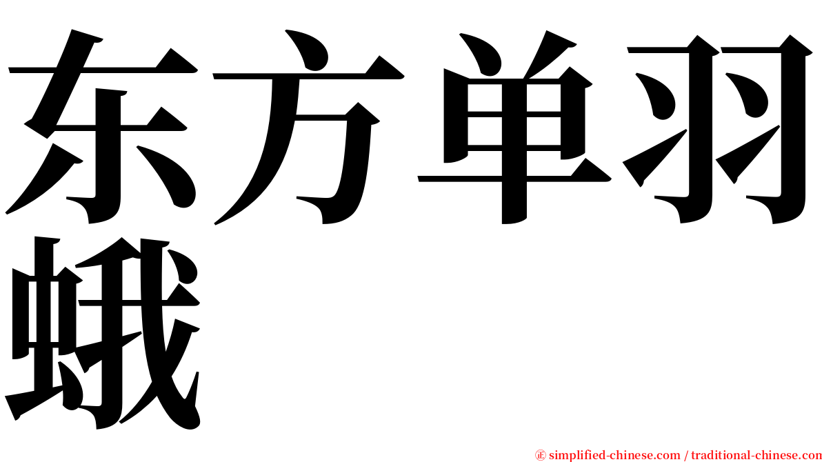 东方单羽蛾 serif font
