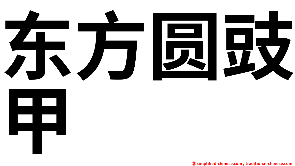 东方圆豉甲