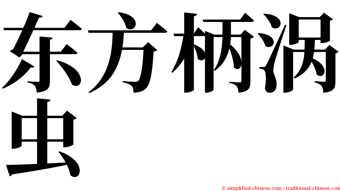 东方柄涡虫 serif font