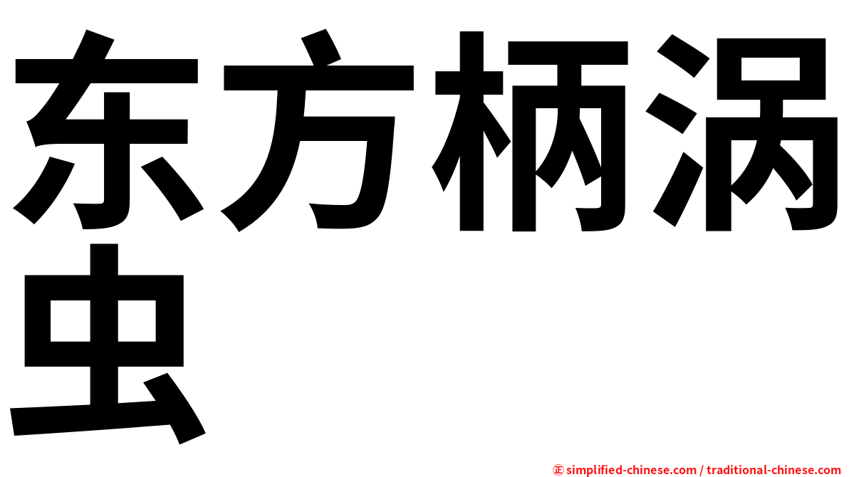 东方柄涡虫