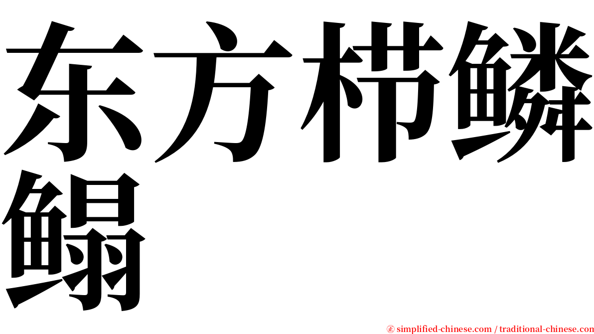 东方栉鳞鳎 serif font