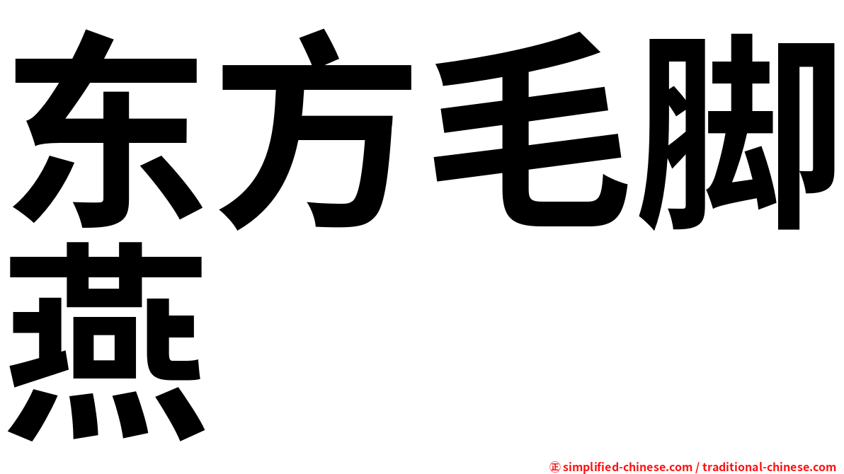 东方毛脚燕