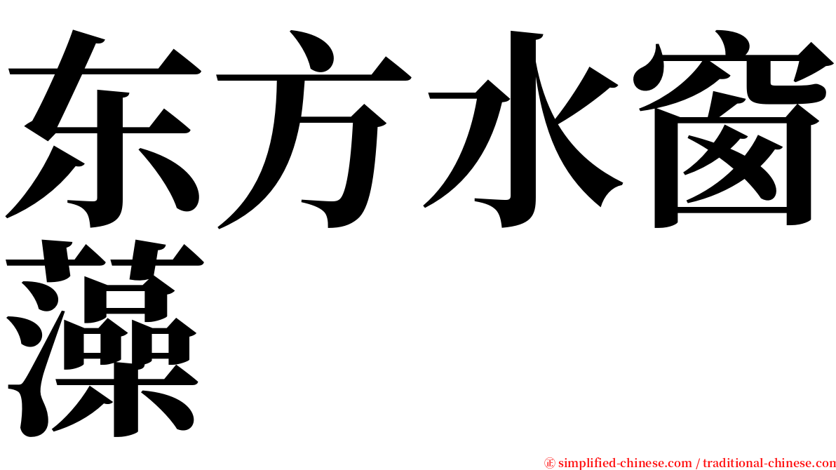 东方水窗藻 serif font