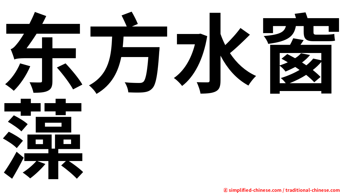 东方水窗藻