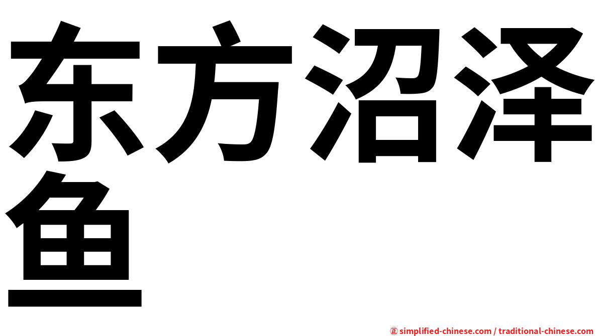 东方沼泽鱼