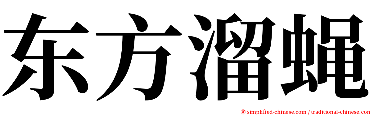 东方溜蝇 serif font