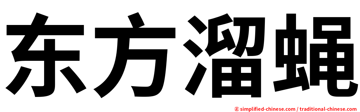 东方溜蝇