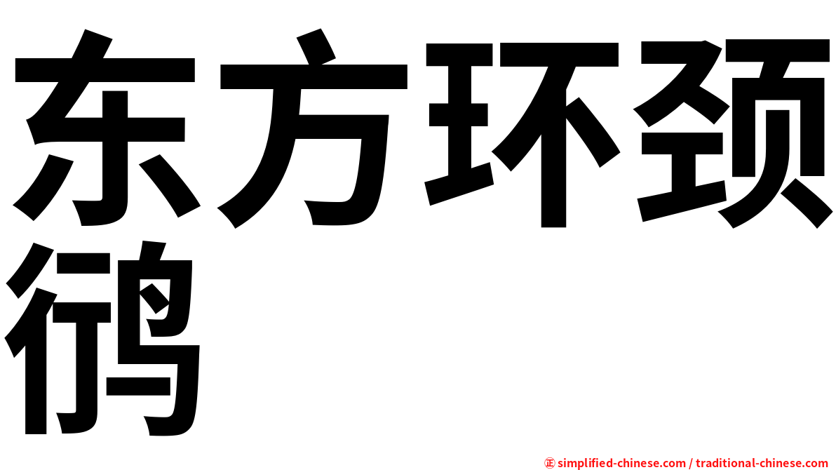 东方环颈鸻