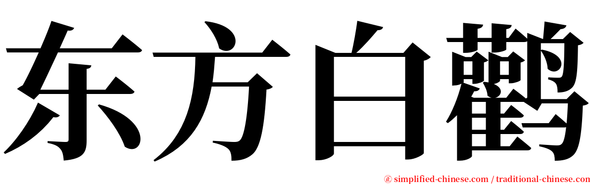 东方白鹳 serif font