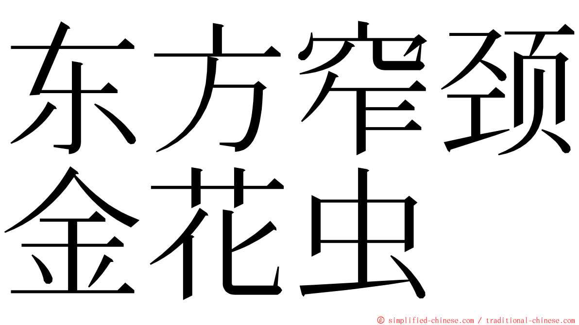 东方窄颈金花虫 ming font