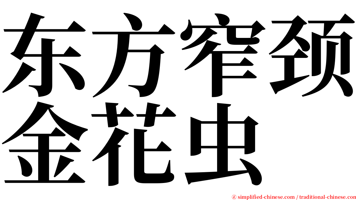 东方窄颈金花虫 serif font