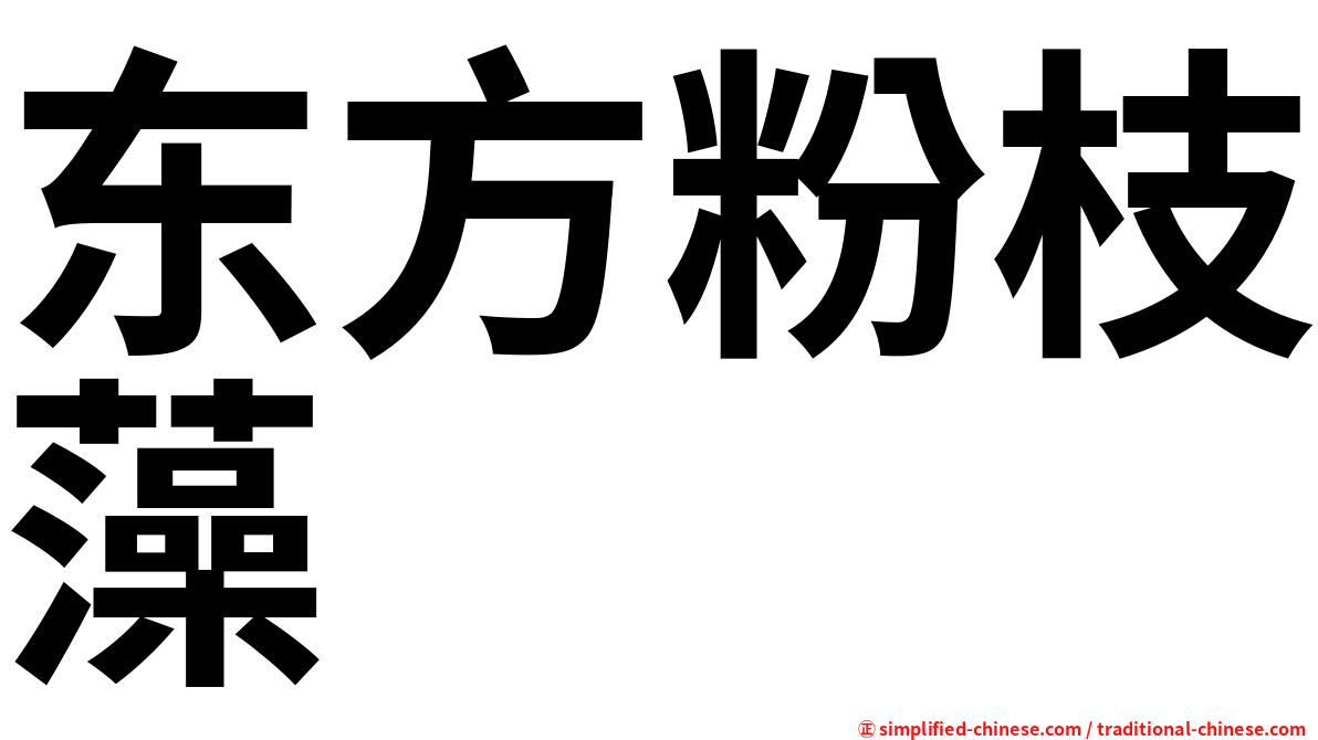 东方粉枝藻