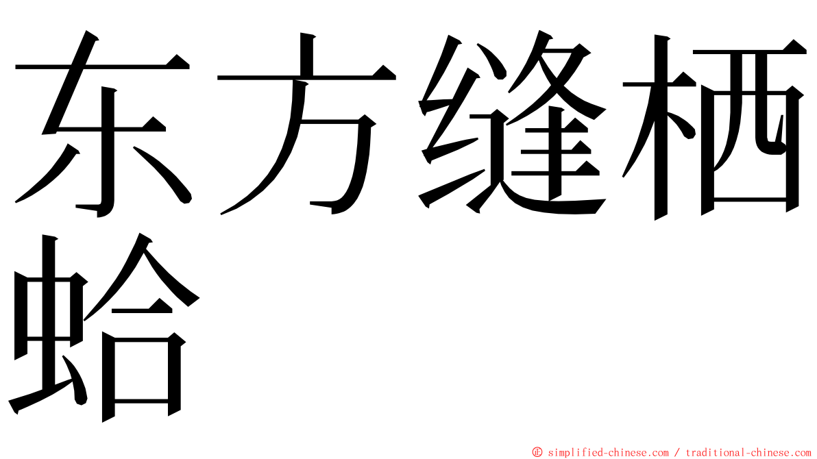 东方缝栖蛤 ming font