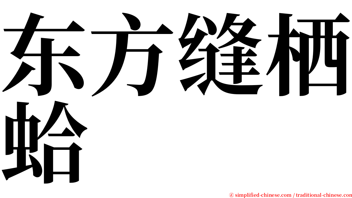 东方缝栖蛤 serif font