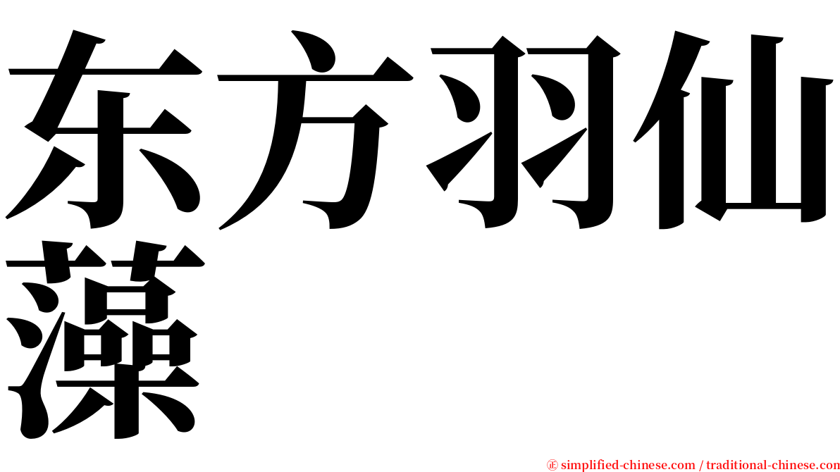 东方羽仙藻 serif font